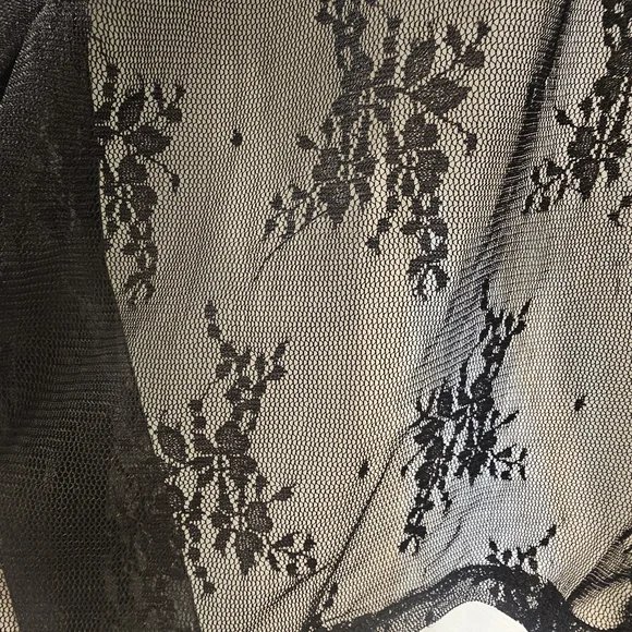 Sheer Black Lace Blouse - Picture 3 of 3